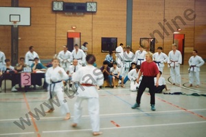 Thassilo im Kampf - vor der Technik