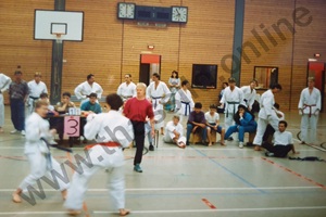 Thassilo im Kampf - nach der Technik